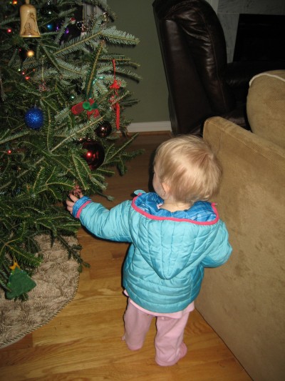 Hailey did a great job with the Christmas tree. No casualties! She is a pro at "just a touch," or touching each ornament with just one finger.